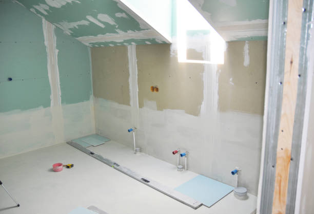 Best Mold Odor Removal Services  in Chandler, IN