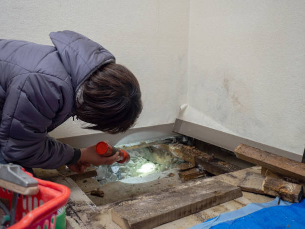 Best Residential Mold Inspection & Testing  in Chandler, IN