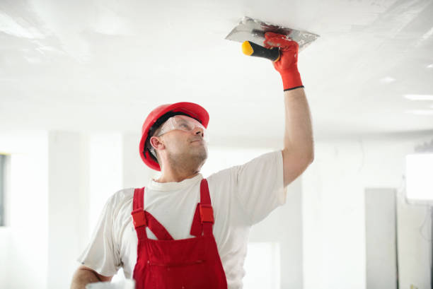 Best Asbestos and Lead Testing During Mold Inspection  in Chandler, IN