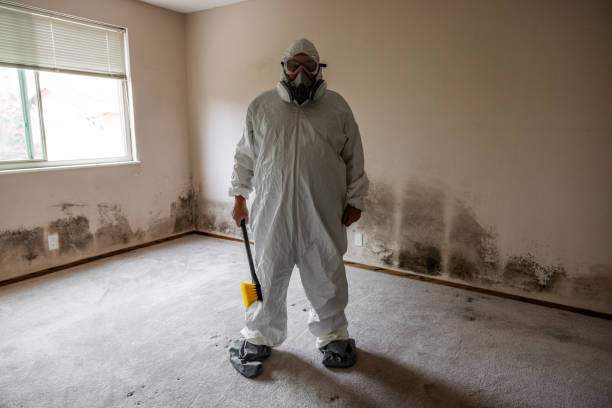 Best Airborne Mold Testing  in Chandler, IN