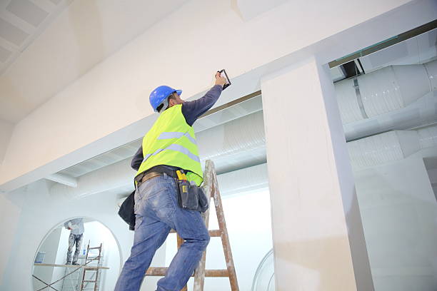 Best Mold Damage Restoration  in Chandler, IN