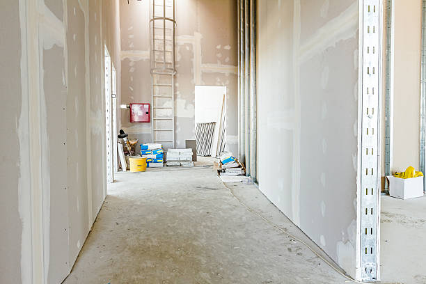 Best Commercial Mold Inspection  in Chandler, IN