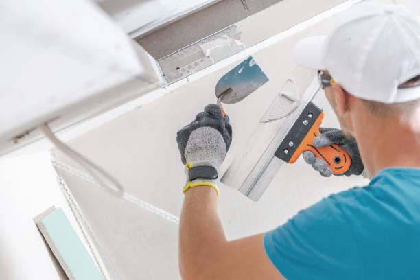 Professional Mold Removal in Chandler, IN